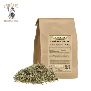 Erysimum velard aerial part cut – Sisymbrium officinale | Apophycaire