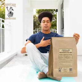 Erysimum Velard cut aerial part (Sisymbrium officinale) - Apophycaire