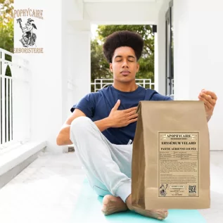 Erysimum velard Luftteil geschnitten – Sisymbrium officinal | Apophycarius