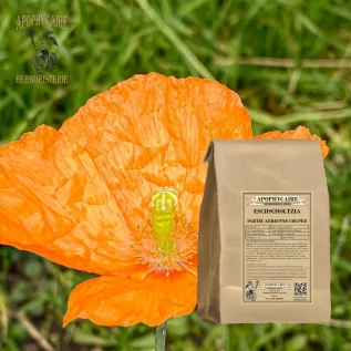 tisane Eschscholtzia (Eschscholtzia californica) - Apophycaire