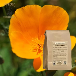 Polvo de Eschscholtzia – Eschscholtzia californica | Apophycaire