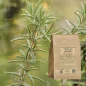 Tarragon cut leaf (Artemisia dracunculus) - Apophycaire