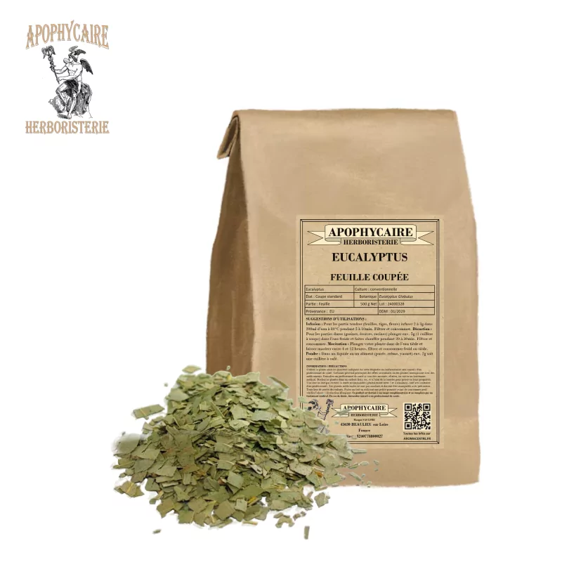 Eucalipto de hoja cortada (Eucalyptus globulus) - Apophycaire