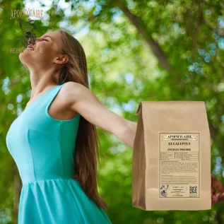 Eucalyptus leaf powder – Eucalyptus globulus | Apophycaire