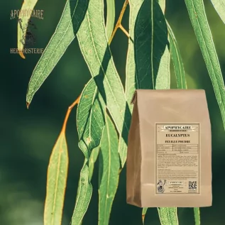 Eukalyptusblattpulver – Eucalyptus globulus | Apophycarius