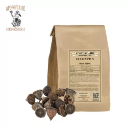 Okaliptüs globulus – Okaliptüs noix vrac | Apophycaire