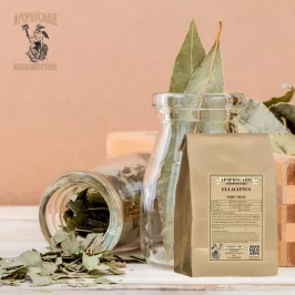 Eucalyptus globulus - Apophycaire