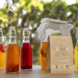 Cortar Joe Pye Weed (Eupatorium cannabinum) - Apophycaire