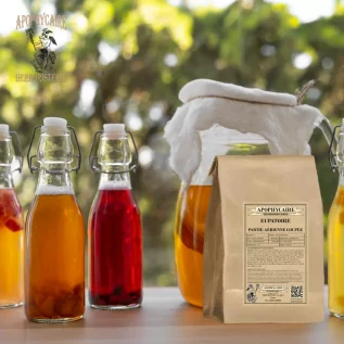 Cut Joe Pye Weed (Eupatorium cannabinum) - Apophycaire