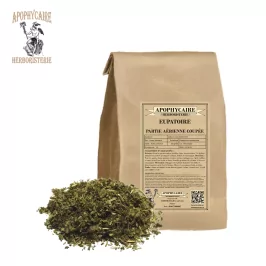 Corte de la parte aérea de Joe Pye Weed – Eupatorium cannabinum | Apophycarius