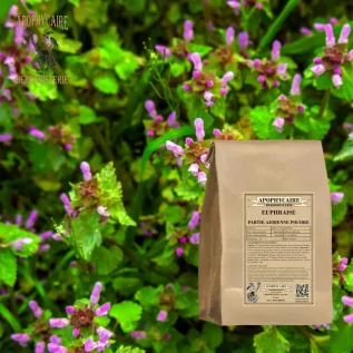Eyebright powder – Euphrasia officinalis | Apothecary