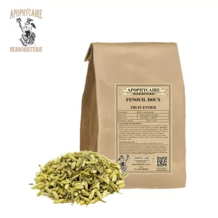 Fruto dulce de hinojo – Foeniculum dulce | Apophycarius