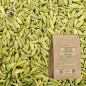 Sweet fennel fruit (Foeniculum dulce) - Apophycaire