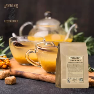 Kesilmiş tatlı rezene (Foeniculum dulce) - Apophycaire