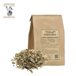 Tatlı rezene toprak üstü kısmı kesilmiş – Foeniculum dulce | Apophycarius