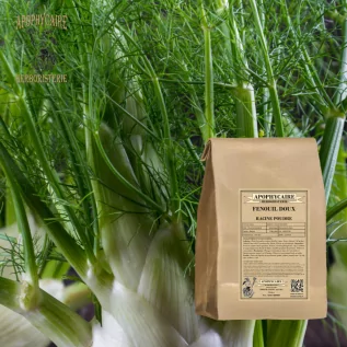 Süßfenchelwurzelpulver – Foeniculum dulce | Apophycarius
