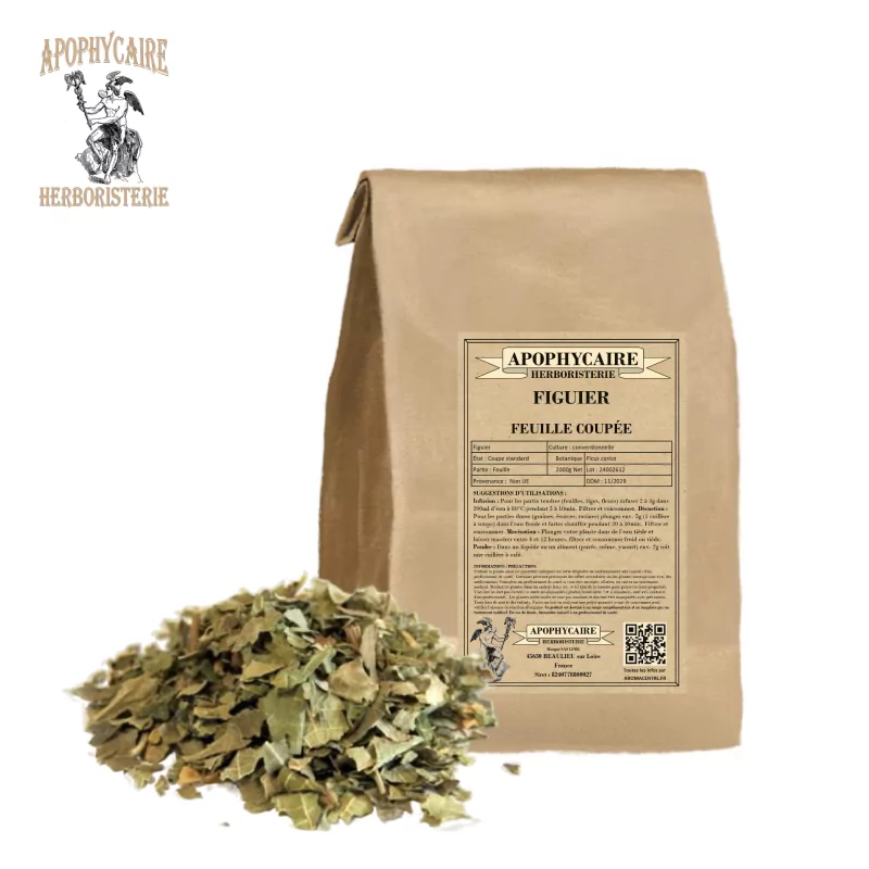 Kesilmiş yaprak incir (Ficus carica) - Apophycaire