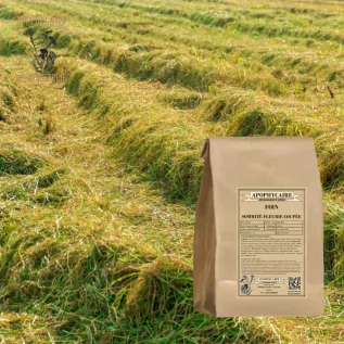 Hay cut flowering tops – Foenum | Apophycaire