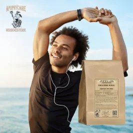 Helecho polvo macho (Filix mas) - Apophycaire