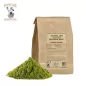 Male Fern Powder Frond – Filix mas | Apophycaire
