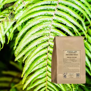 Male Fern Powder Frond – Filix mas | Apophycaire