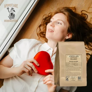 Raíz cortada de rusco – Ruscus aculeatus | Apophycarius