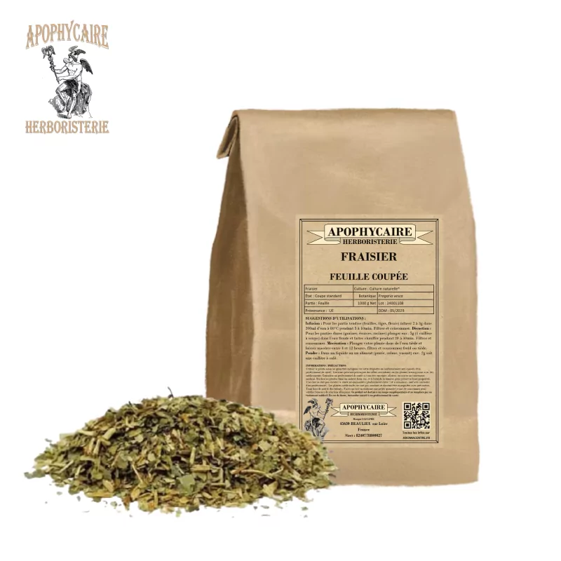 Fraisier feuille coupée (Fragaria vesca) - Apophycaire Fraisier feuille coupée (Fragaria vesca) - Apophycaire