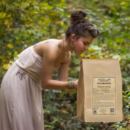 Frambuesa de hoja cortada (Rubus idaeus) - Apophycaire