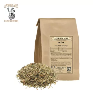 Kesme yaprak dişbudak – Fraxinus excelsior | Apophycarius