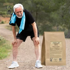 Schnittblatt-Esche (Fraxinus excelsior) – Apophycaire