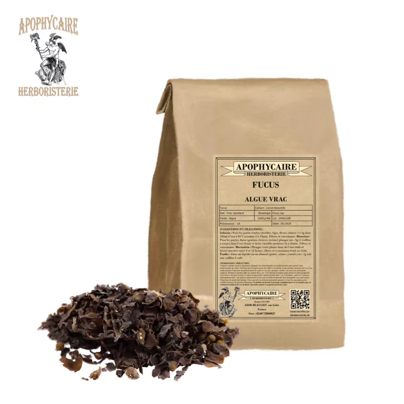 Algas Fucus ssp a granel - Apophycaire