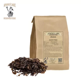 Algas fucus a granel – Fucus ssp | Apophycarius