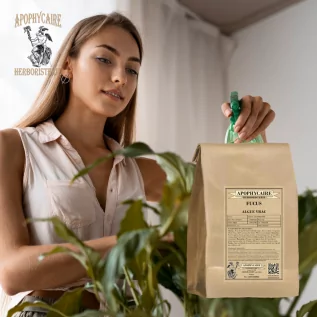 Fucus yosunu toplu – Fucus ssp | Apophycarius