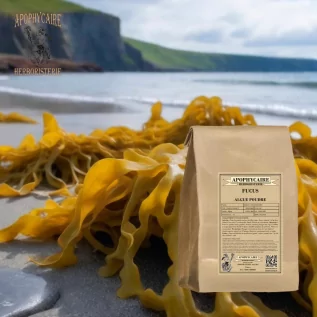 Fucus algae powder – Fucus ssp | Apophycaire