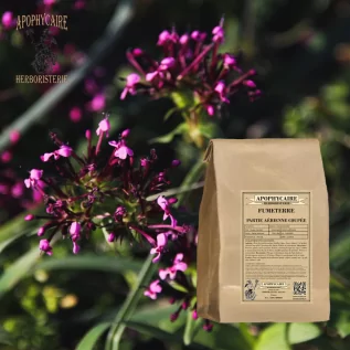 Fumitoryumun havadan kesilmiş kısmı – Fumaria officinalis | Apophycarius