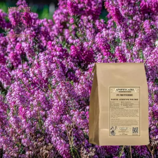 Polvo de fumaria – Fumaria officinalis | Apophycarius