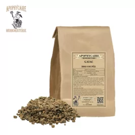 Guajakholzschnitt – Guaiacum officinale | Apophycarius