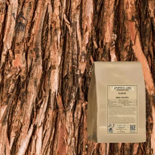 Corte de madera de guayaco – Guaiacum officinale | Apophycarius