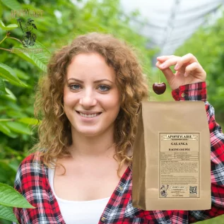 Galgantwurzelschnitt (Alpinia officinarum) - Apophycaire