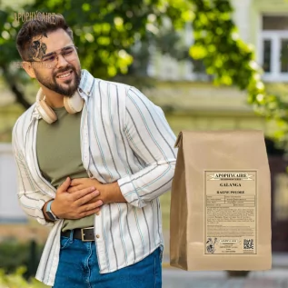 Galangal root powder (Alpinia officinarum) - Apophycaire