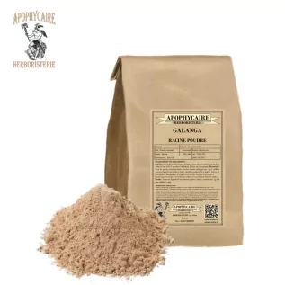 Havlıcan kökü tozu – Alpinia officinarum | Apophycarius