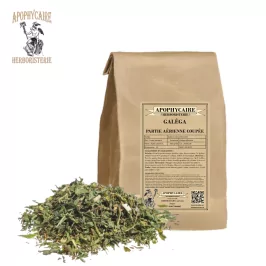 Ziegenaugen-Teilschnitt – Galega officinalis | Apophycarius