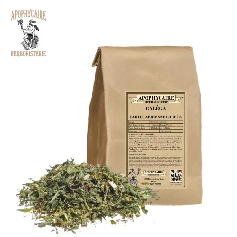 Galega-Luftteilschnitt (Galega officinalis) – Apophycaire Galega-Luftteilschnitt (Galega officinalis) – Apophycaire