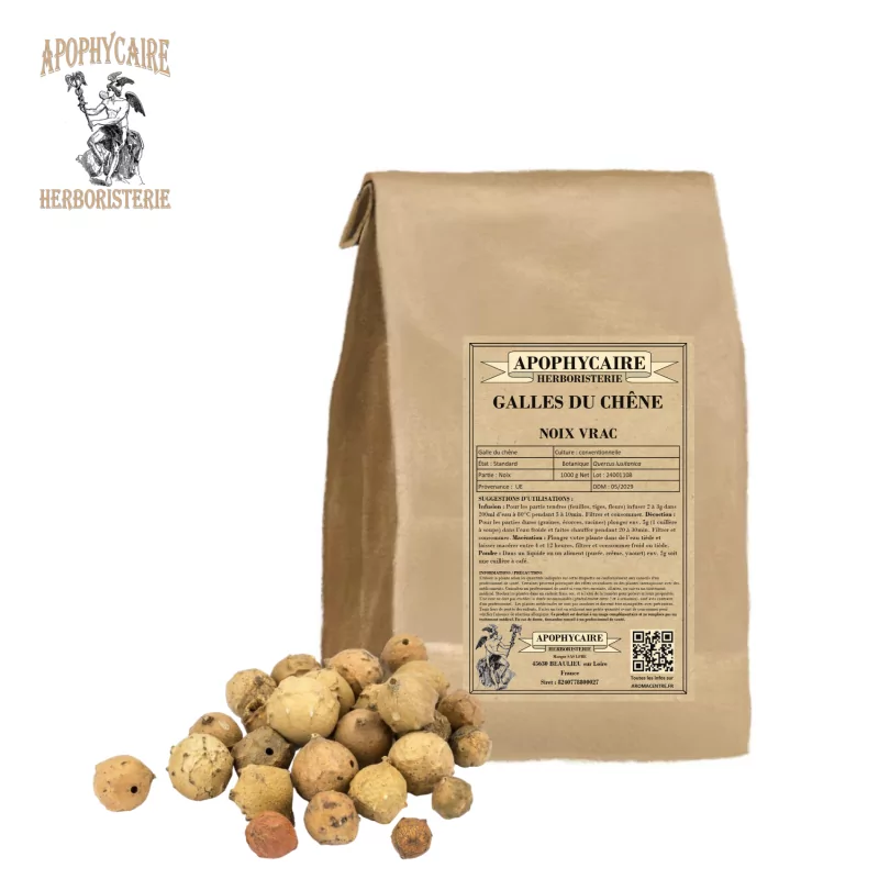 Galles du chêne noix vrac (Quercus lusitanica) - Apophycaire