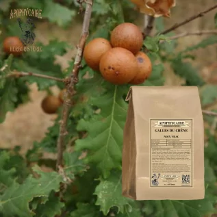 Welsh walnut bulk – Oak lusitanica | Apophycaire