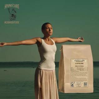 Fruto del árbol casto a granel – Vitex agnus-castus | Apophycaire