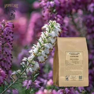 tisane Gattilier fruit - Apophycaire