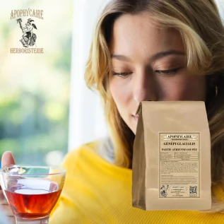 Alpen-Genepi-Luftteil – Artemisia glacialis | Apophycarius