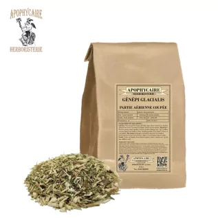 Génépi des Alpes partie aérienne (Artemisia Glacialis) - Apophycaire