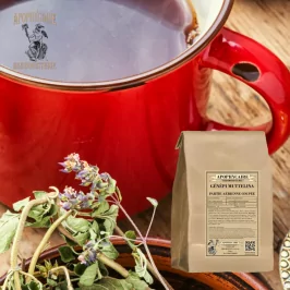 Cortar Genepi alpino (Artemisia Mutellina) - Apophycaire